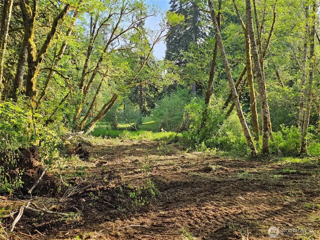 0 Middle Earth Lane Elma WA 98541