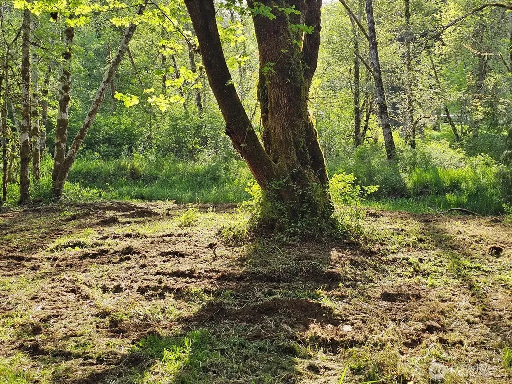 0 Middle Earth Lane Elma WA 98541