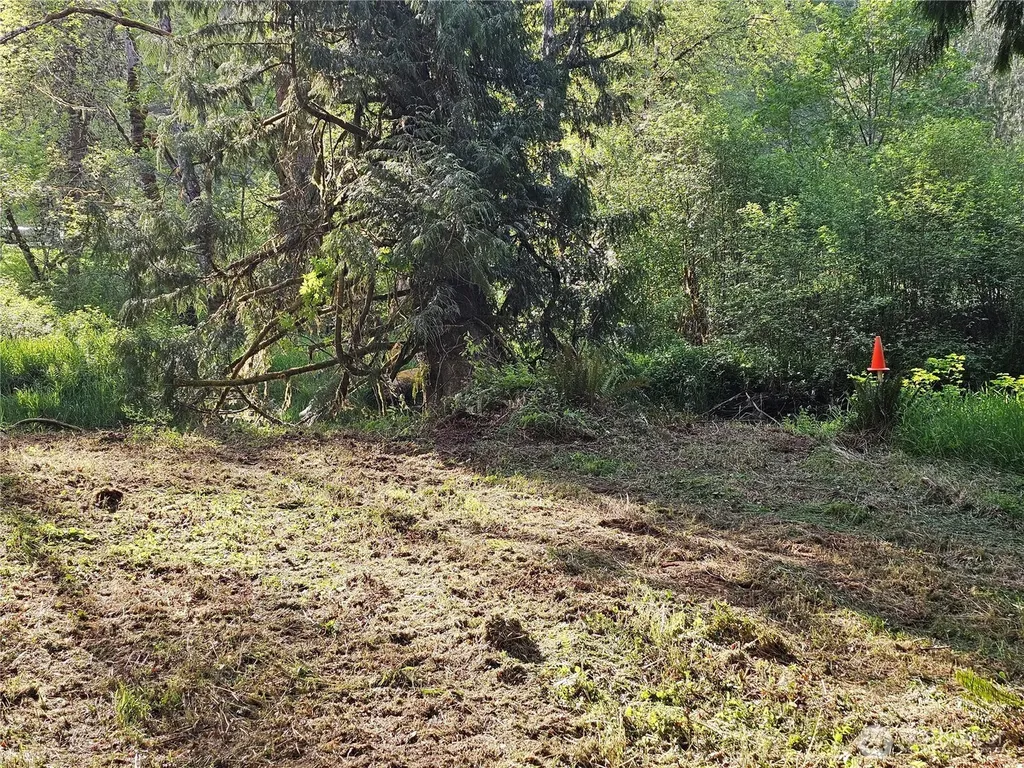 0 Middle Earth Lane Elma WA 98541