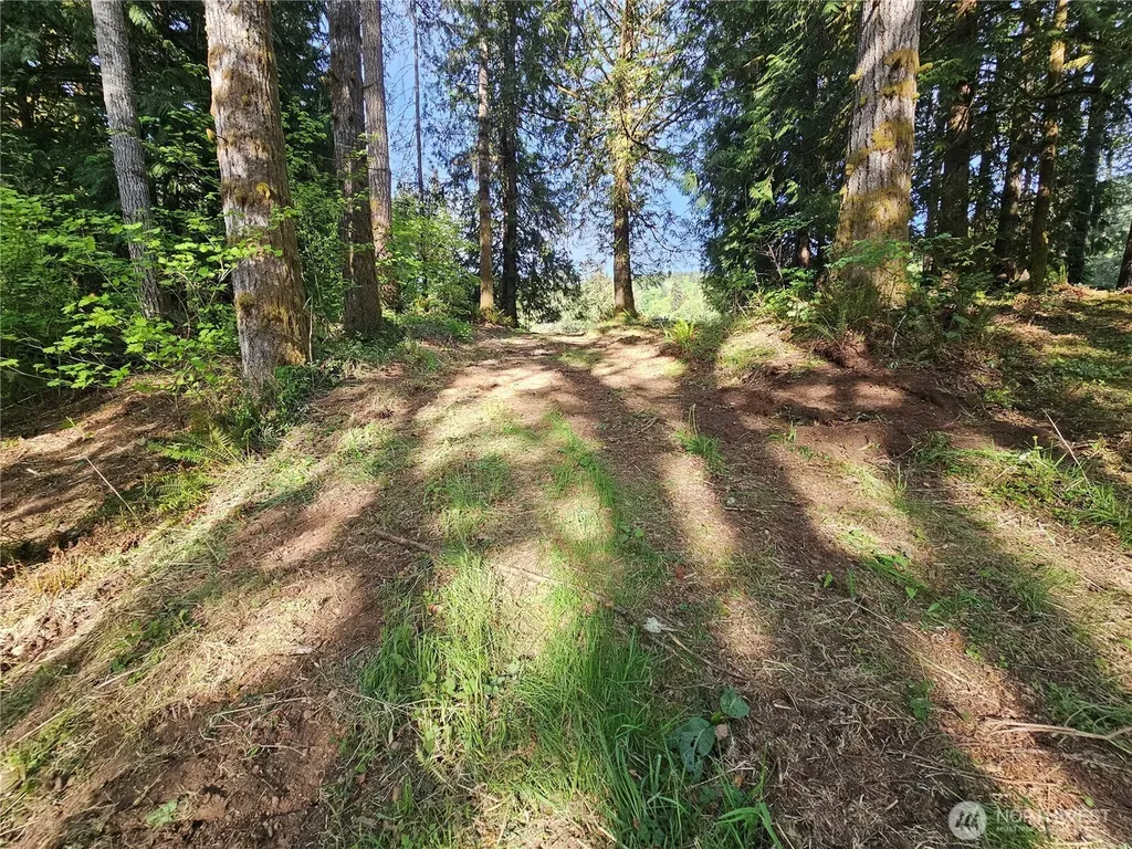 0 Middle Earth Lane Elma WA 98541
