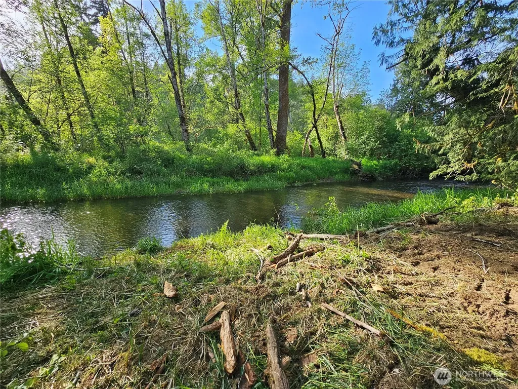 0 Middle Earth Lane Elma WA 98541
