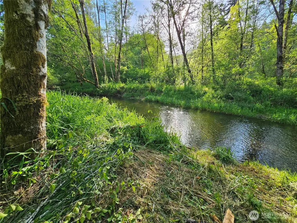 0 Middle Earth Lane Elma WA 98541