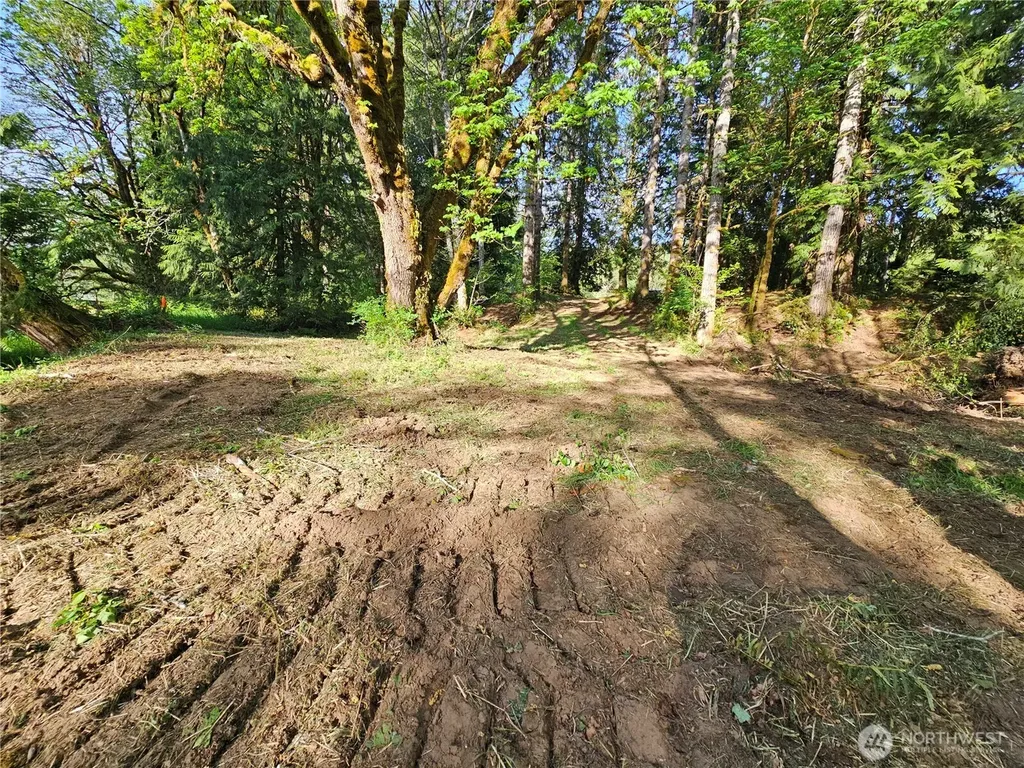 0 Middle Earth Lane Elma WA 98541