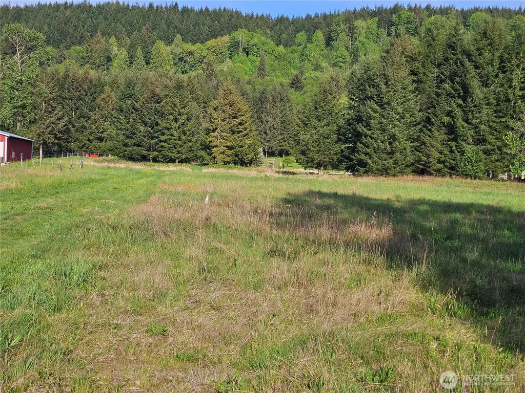 0 Middle Earth Lane Elma WA 98541