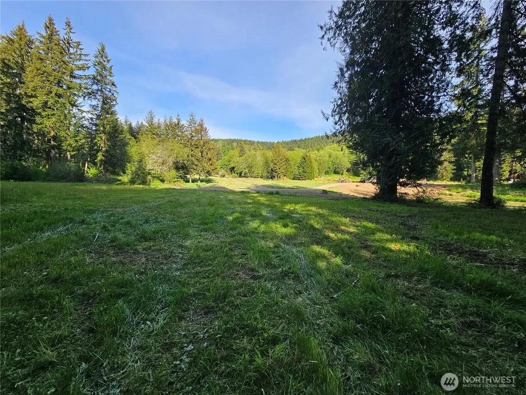 0 Middle Earth Lane Elma WA 98541