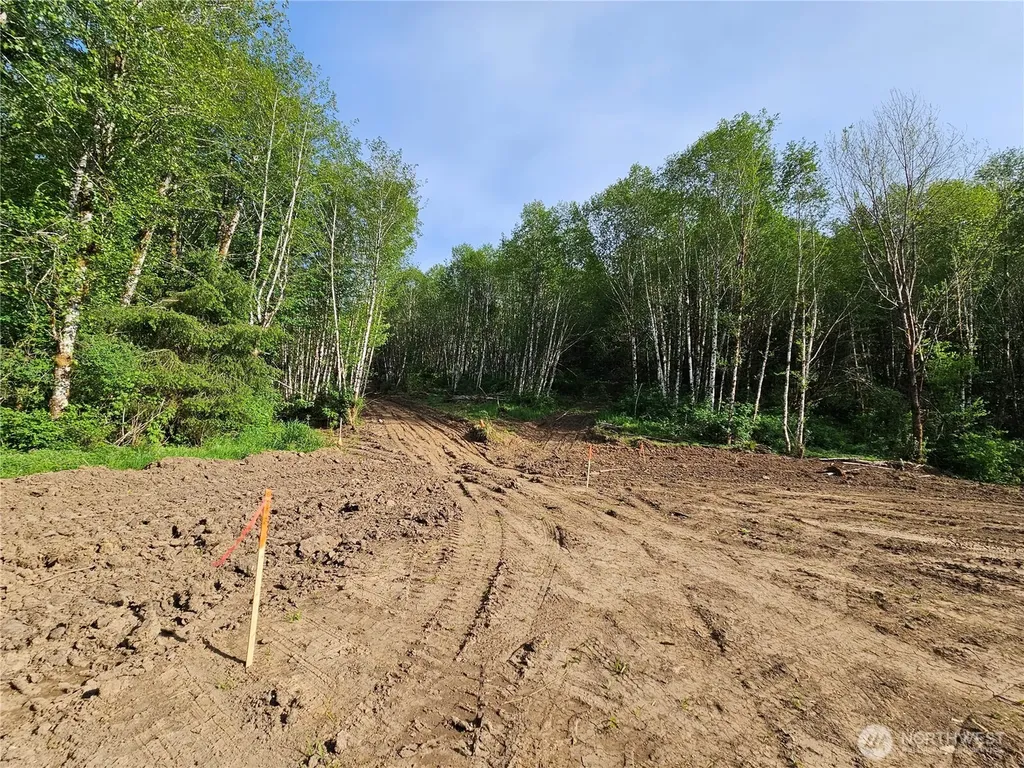 0 Middle Earth Lane Elma WA 98541