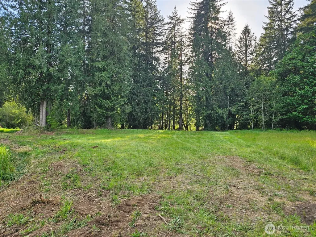 0 Middle Earth Lane Elma WA 98541