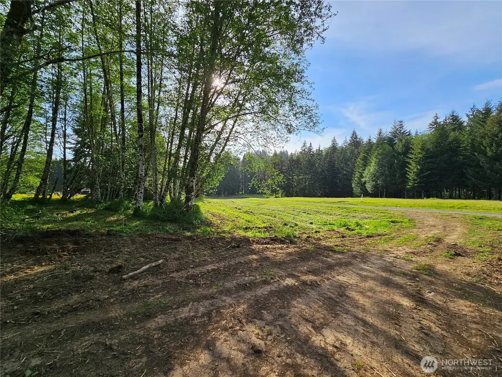 0 Middle Earth Lane Elma WA 98541