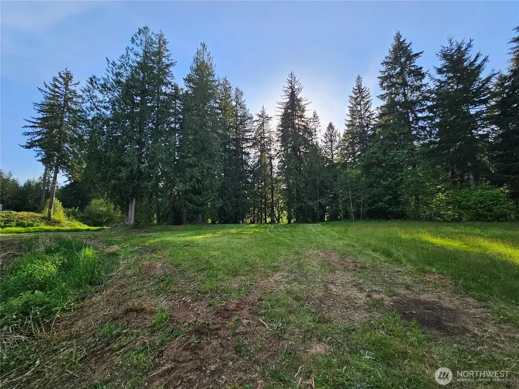 0 Middle Earth Lane Elma WA 98541