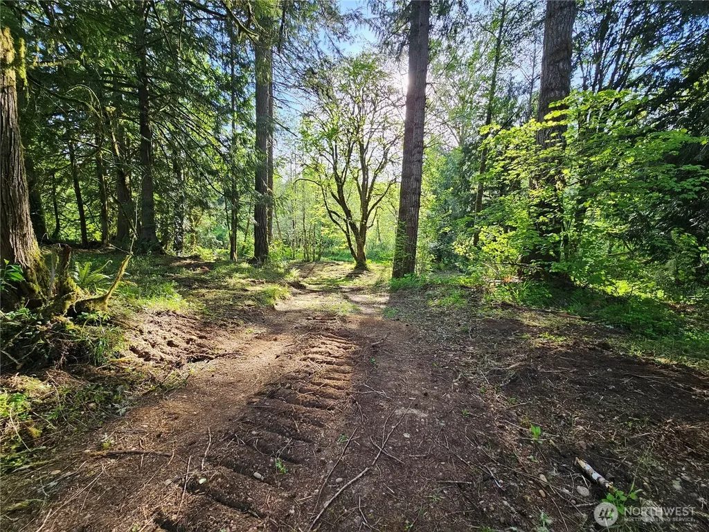 0 Middle Earth Lane Elma WA 98541