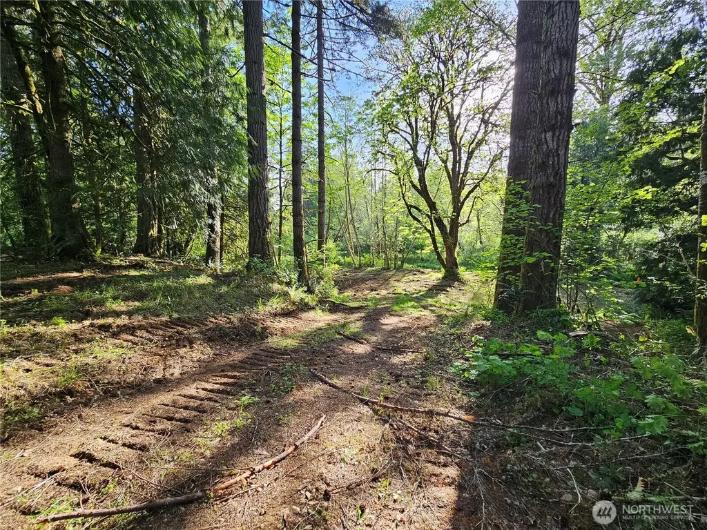 0 Middle Earth Lane Elma WA 98541