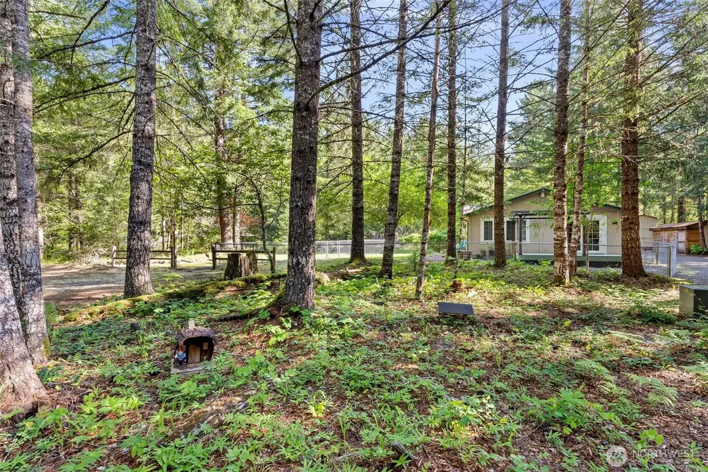 151 Roundwood Lane Packwood WA 98361