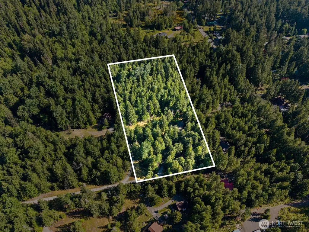151 Roundwood Lane Packwood WA 98361