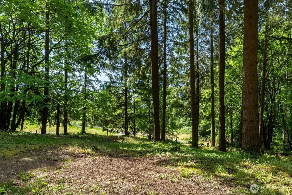 120 Solo Meadows Lane Longview WA 98632