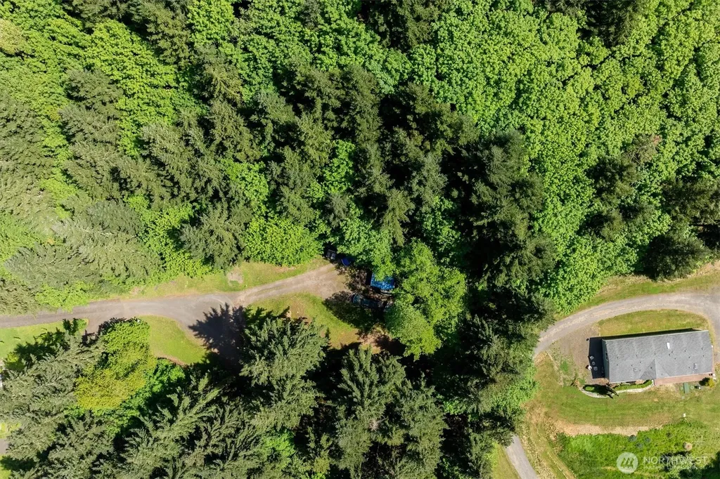 120 Solo Meadows Lane Longview WA 98632