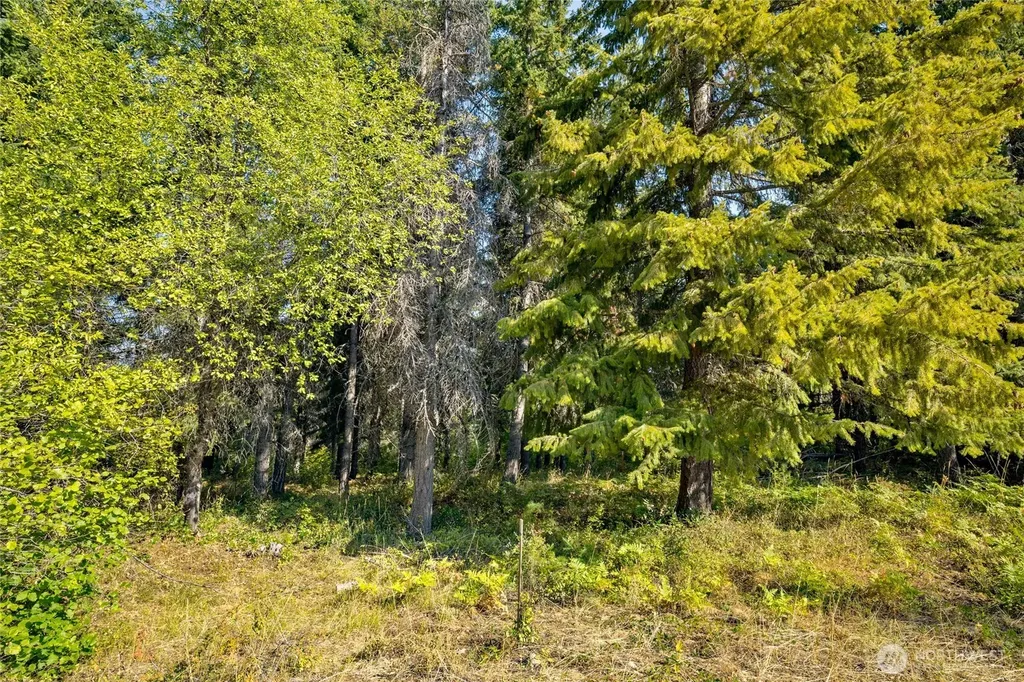 321 Goat Creek Lane Cle Elum WA 98922