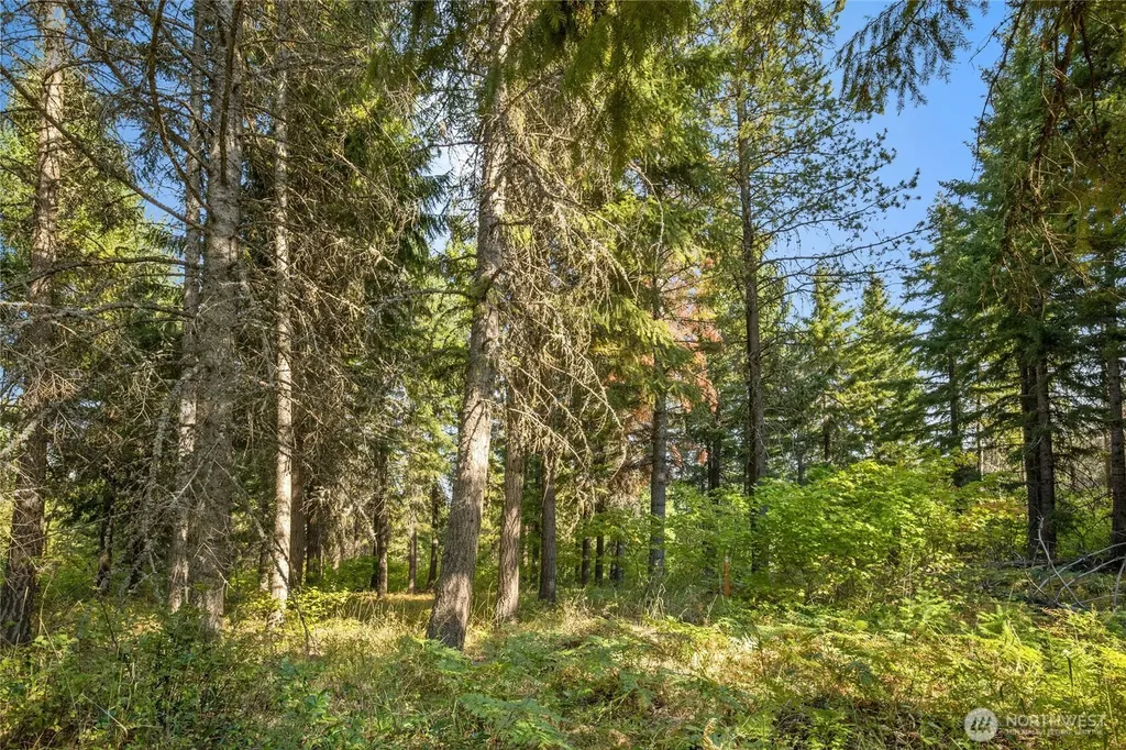 321 Goat Creek Lane Cle Elum WA 98922
