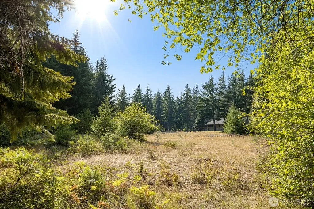 321 Goat Creek Lane Cle Elum WA 98922