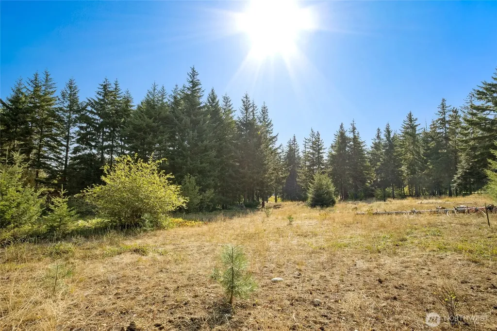 321 Goat Creek Lane Cle Elum WA 98922