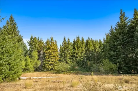 321 Goat Creek Lane Cle Elum WA 98922