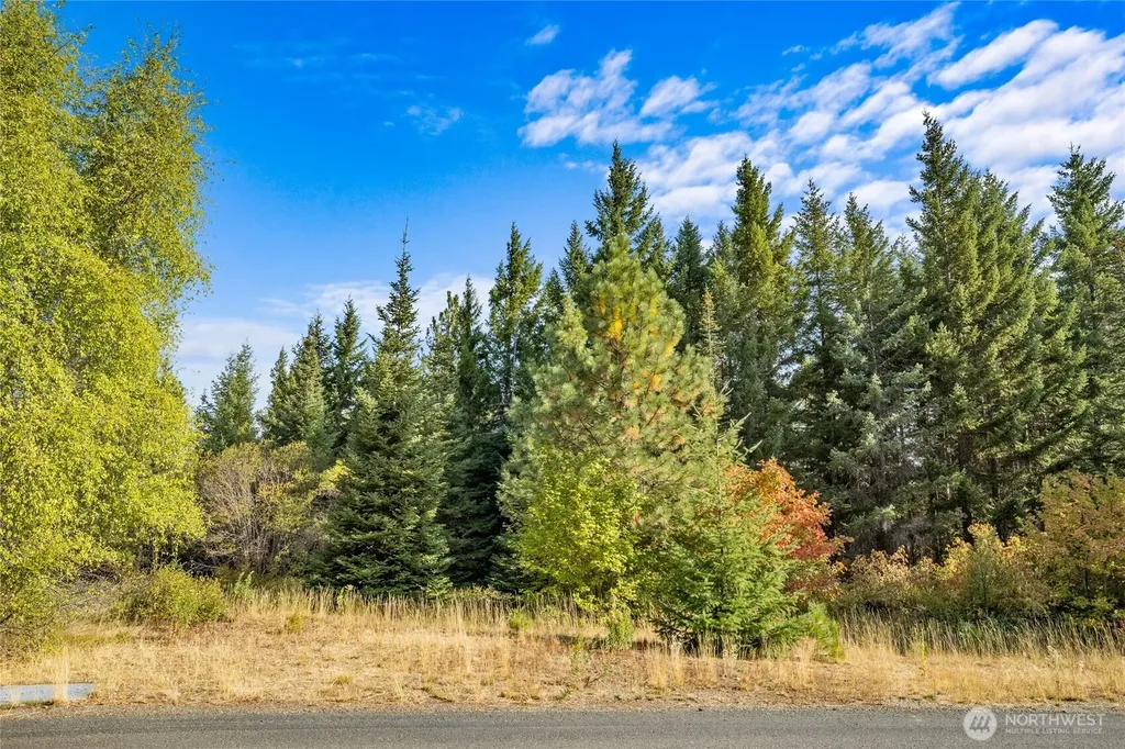 3241 Jenkins Drive Cle Elum WA 98922
