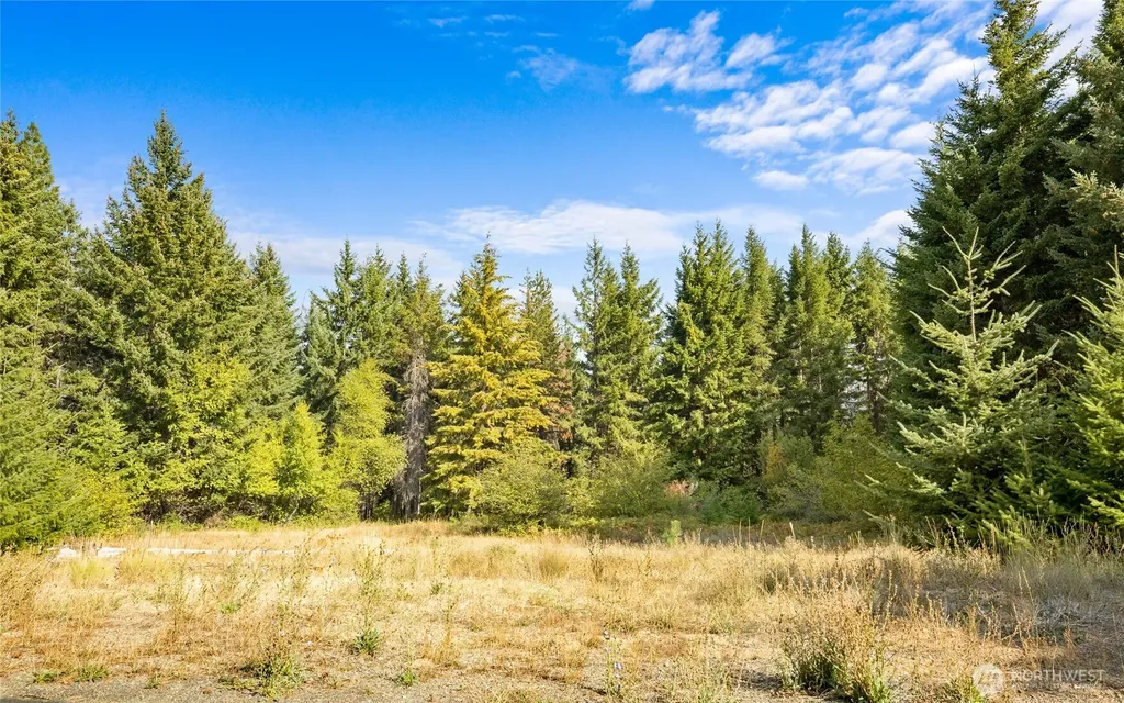 3241 Jenkins Drive Cle Elum WA 98922