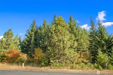 3241 Jenkins Drive Cle Elum WA 98922