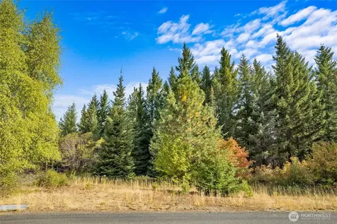 3241 Jenkins Drive Cle Elum WA 98922