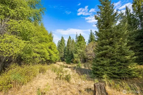 3241 Jenkins Drive Cle Elum WA 98922