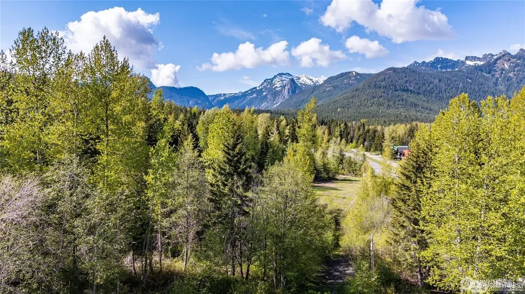 50 Rampart Drive Snoqualmie Pass WA 98068