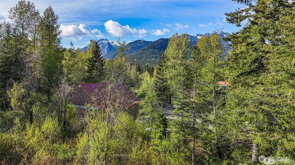 50 Rampart Drive Snoqualmie Pass WA 98068