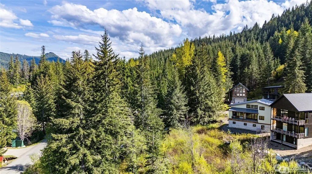 50 Rampart Drive Snoqualmie Pass WA 98068