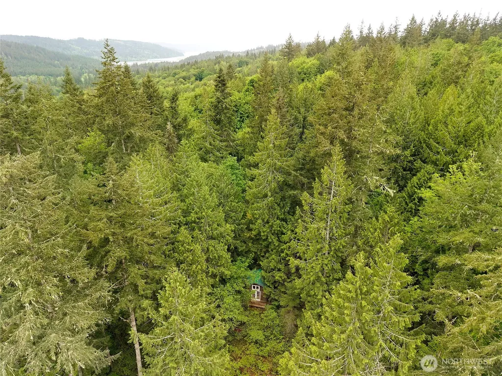 431 Taison Lane Quilcene WA 98376