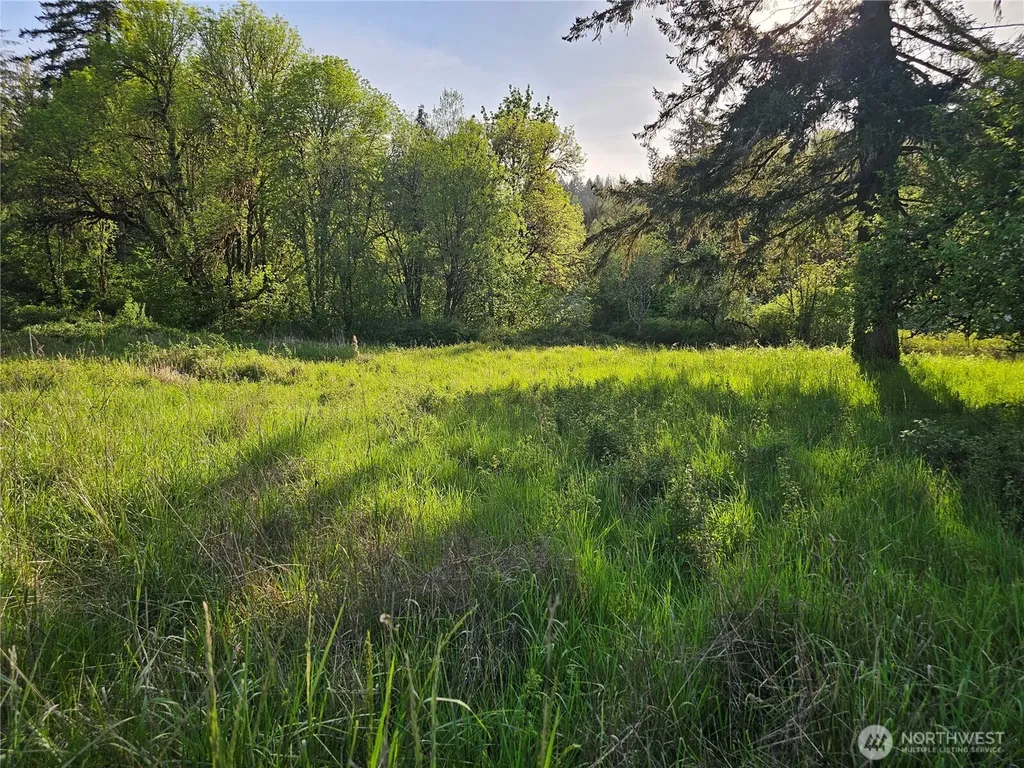 39 Middle Earth Lane Elma WA 98541