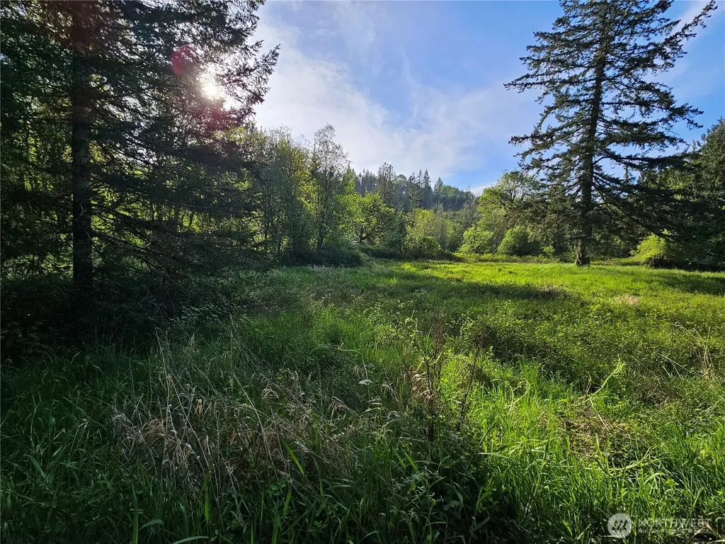 39 Middle Earth Lane Elma WA 98541
