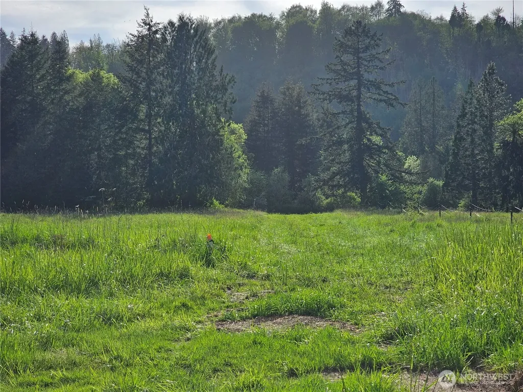 39 Middle Earth Lane Elma WA 98541