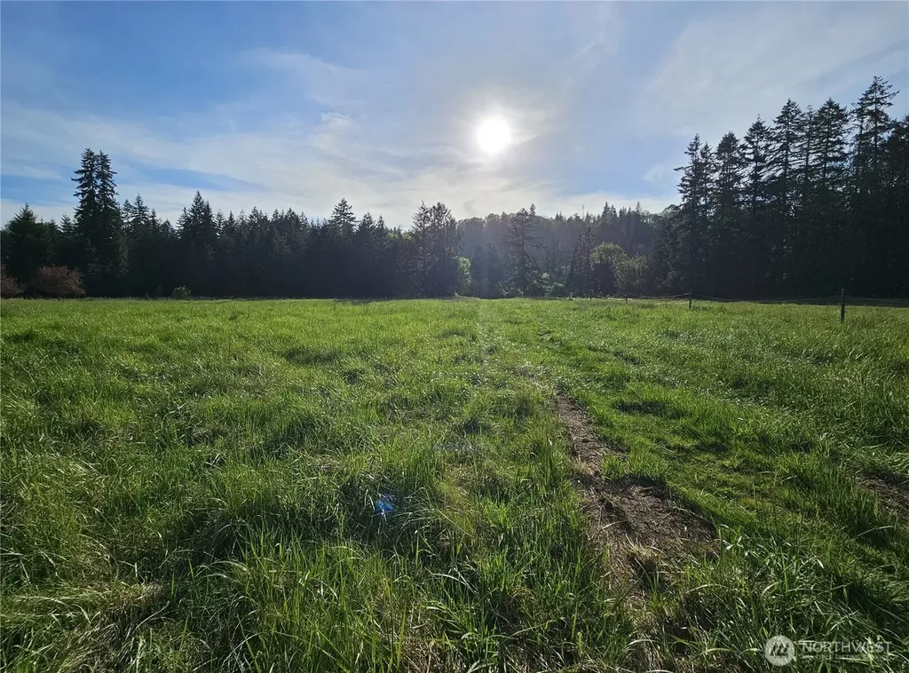 39 Middle Earth Lane Elma WA 98541