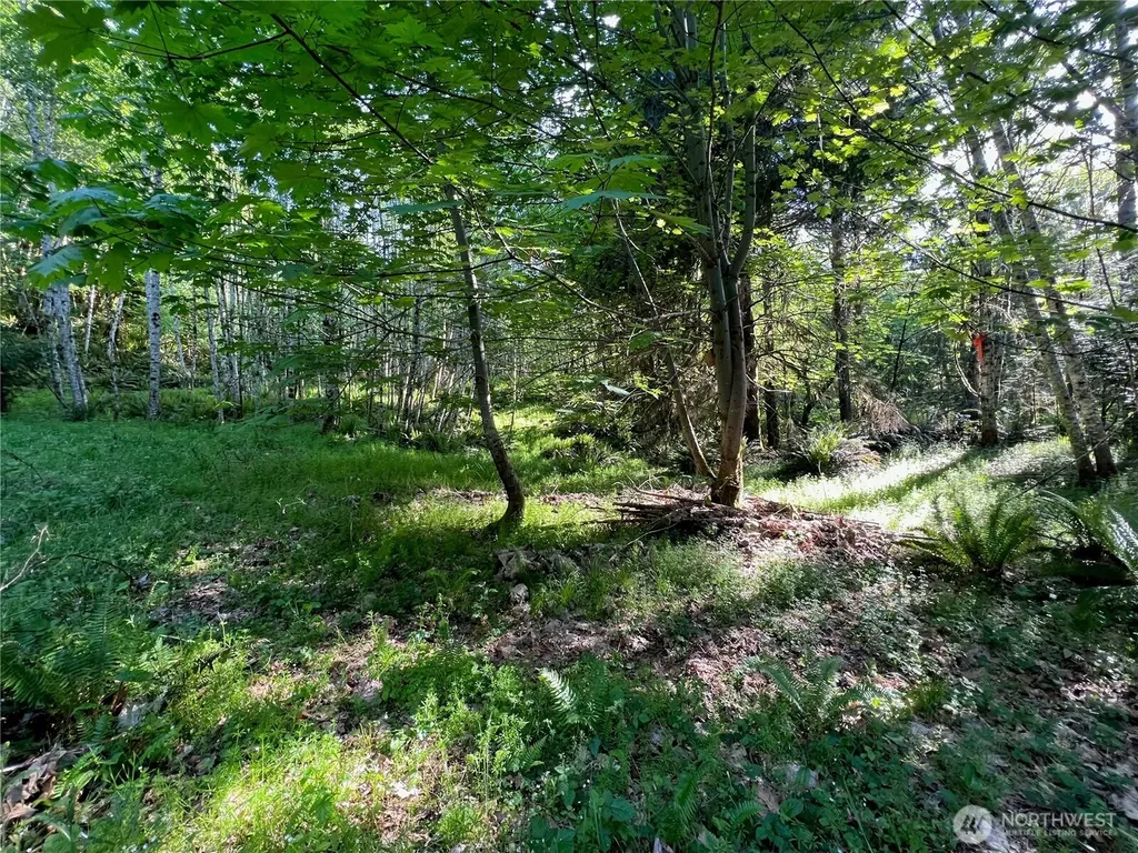 5710 Oyster Bay Road NW Olympia WA 98502