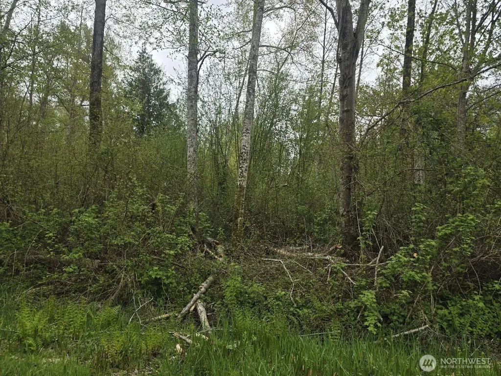 0 Shorewood Lane Bellingham WA 98226