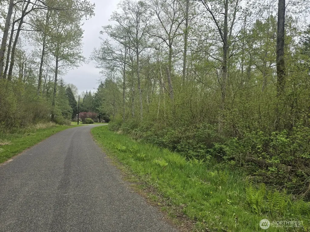 0 Shorewood Lane Bellingham WA 98226