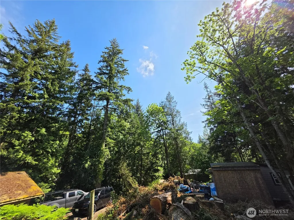4225 Jimi Hendrix Way Bellingham WA 98226