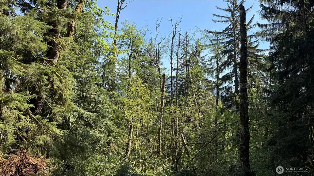 135 Xx 415th Way SE North Bend WA 98045
