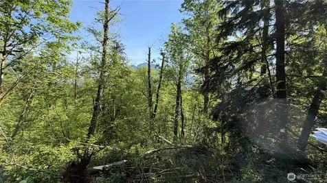135 Xx 415th Way SE North Bend WA 98045
