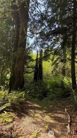 135 Xx 415th Way SE North Bend WA 98045