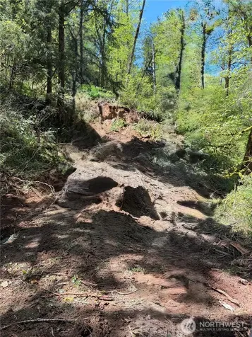 135 Xx 415th Way SE North Bend WA 98045