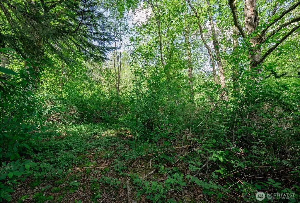 6011 Medcalf Road Bellingham WA 98226