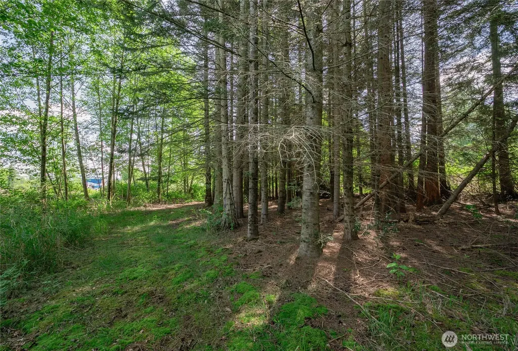 6011 Medcalf Road Bellingham WA 98226