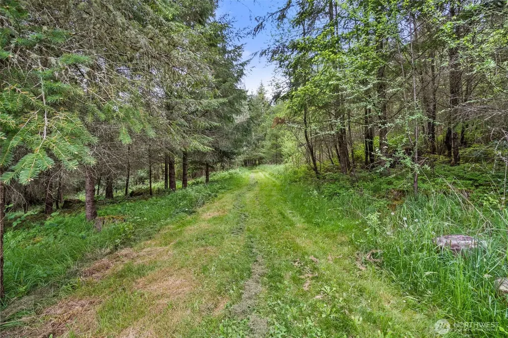 236 Chilvers Road Chehalis WA 98532