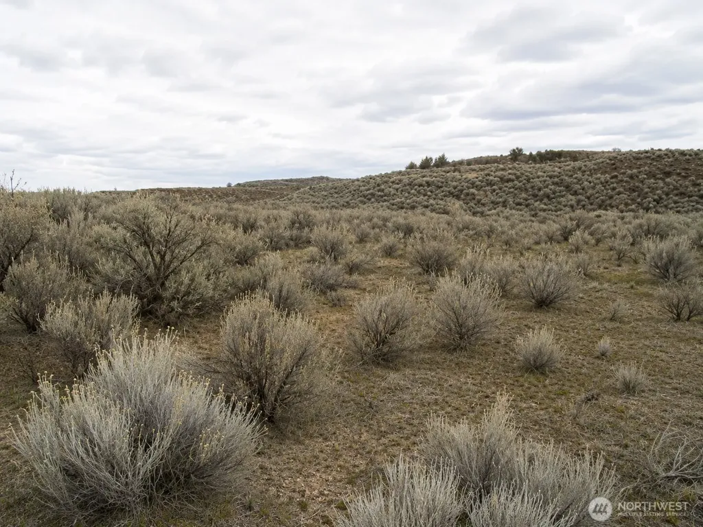0 Lone Butte Court Ephrata WA 98823