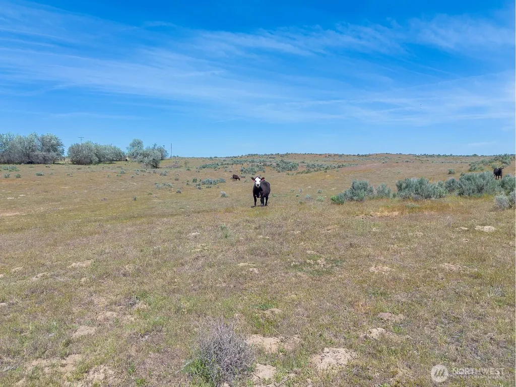 4601 Sr 17 Mesa WA 99343